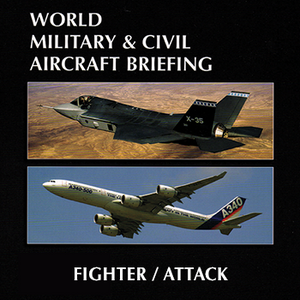Individual Aircraft Report: Fighter/Attack